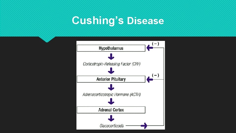 Cushing’s Disease 