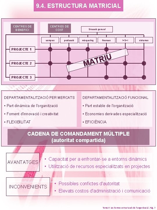 9. 4. ESTRUCTURA MATRICIAL CENTRES DE BENEFICI CENTRES DE COST compres producció Direcció general