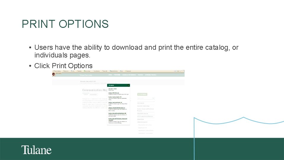 PRINT OPTIONS • Users have the ability to download and print the entire catalog,