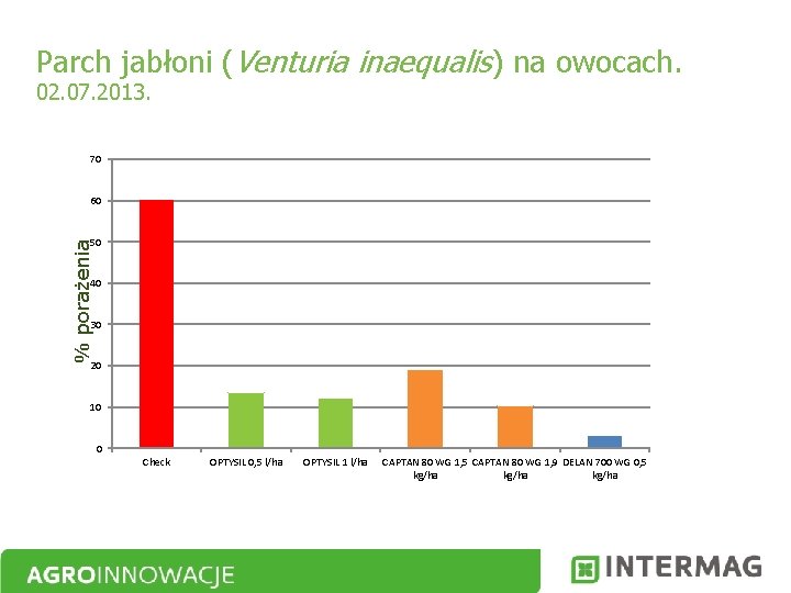 Parch jabłoni (Venturia inaequalis) na owocach. 02. 07. 2013. 70 60 % porażenia 50