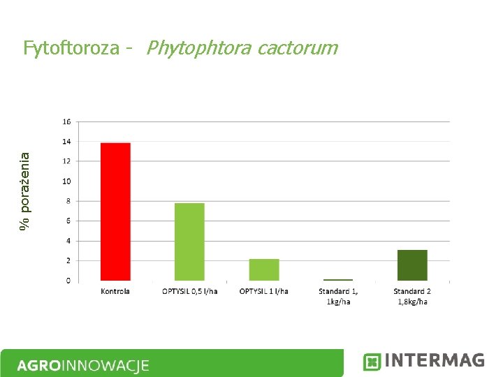 % porażenia Fytoftoroza - Phytophtora cactorum 