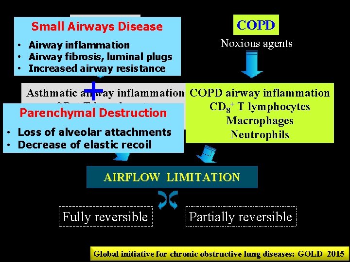 ASTHMA Small Airways Disease agents • Airway. Sensitizing inflammation COPD Noxious agents • Airway
