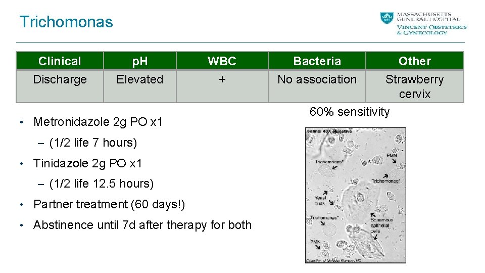 Trichomonas Clinical p. H WBC Bacteria Discharge Elevated + No association • Metronidazole 2