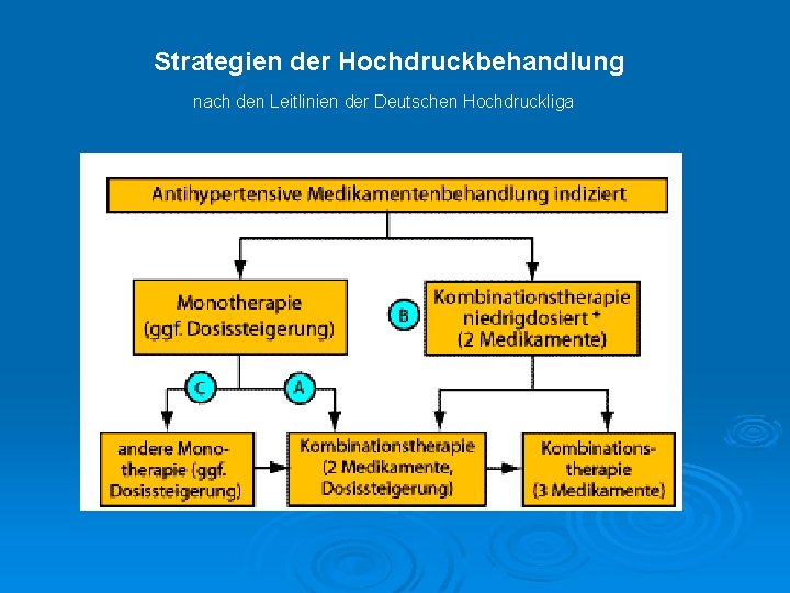 Strategien der Hochdruckbehandlung nach den Leitlinien der Deutschen Hochdruckliga 