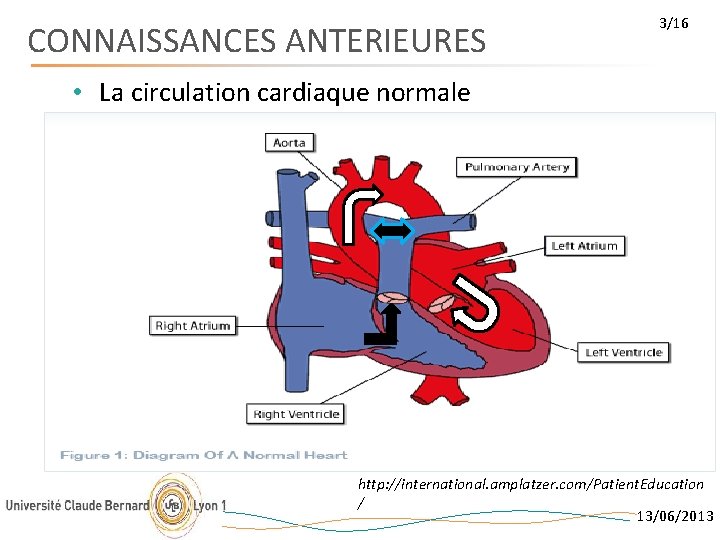 CONNAISSANCES ANTERIEURES 3/16 • La circulation cardiaque normale http: //international. amplatzer. com/Patient. Education /