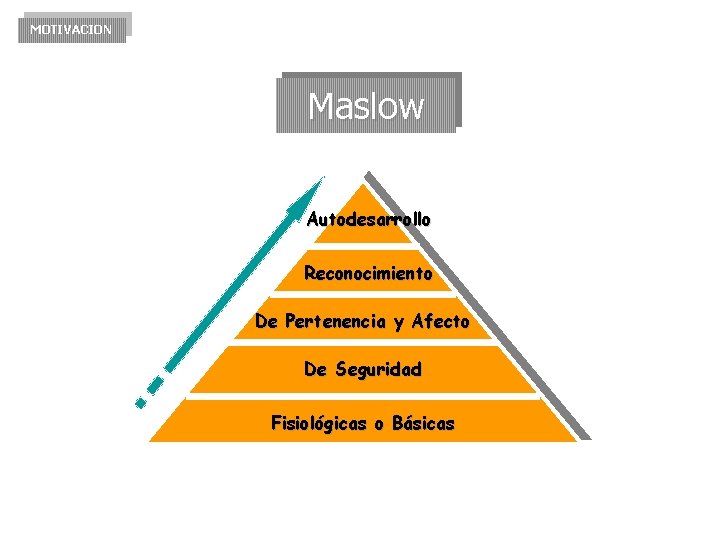 MOTIVACION Maslow Autodesarrollo Reconocimiento De Pertenencia y Afecto De Seguridad Fisiológicas o Básicas MOTIVACION Maslow Autodesarrollo Reconocimiento De Pertenencia y Afecto De Seguridad Fisiológicas o Básicas