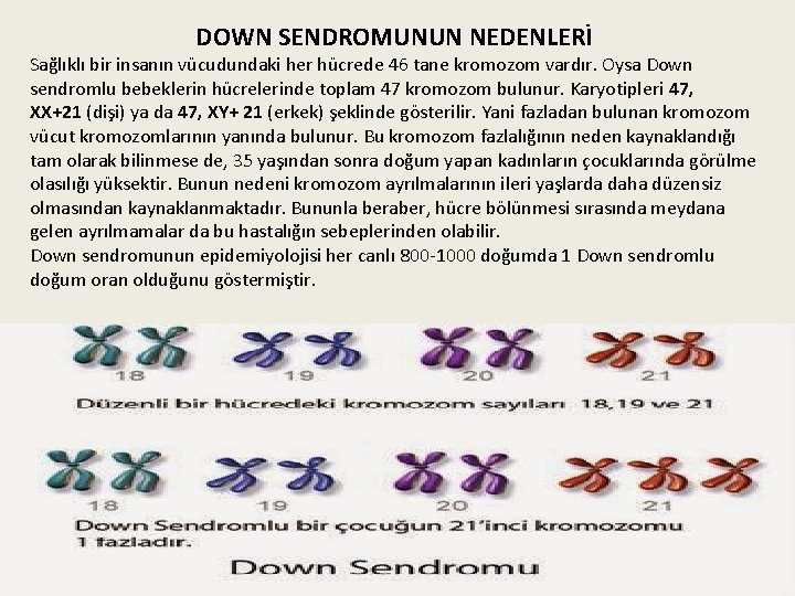 DOWN SENDROMUNUN NEDENLERİ Sağlıklı bir insanın vücudundaki her hücrede 46 tane kromozom vardır. Oysa