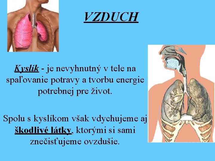 VZDUCH Kyslík - je nevyhnutný v tele na spaľovanie potravy a tvorbu energie potrebnej