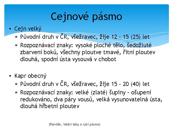 Cejnové pásmo • Cejn velký Původní druh v ČR, všežravec, žije 12 – 15