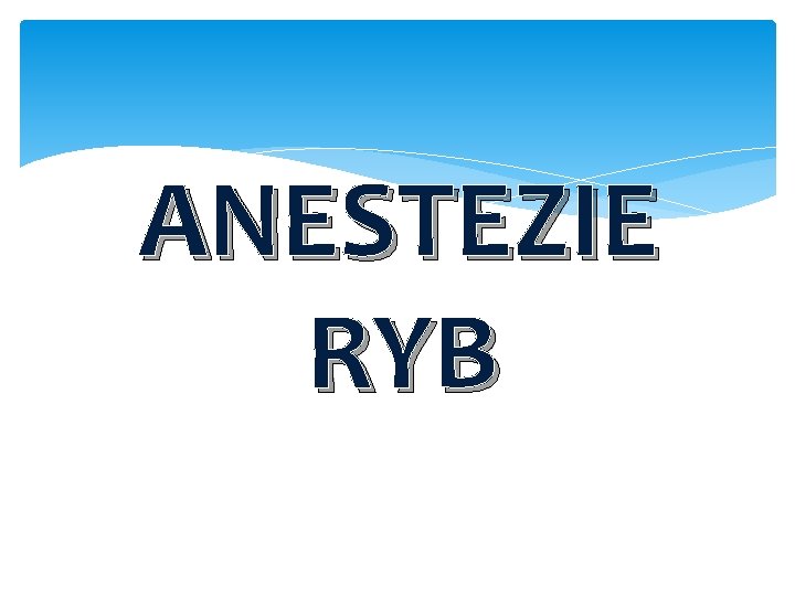 ANESTEZIE RYB 