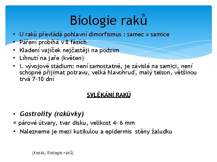 Biologie raků • • • U raků převládá pohlavní dimorfismus : samec x samice