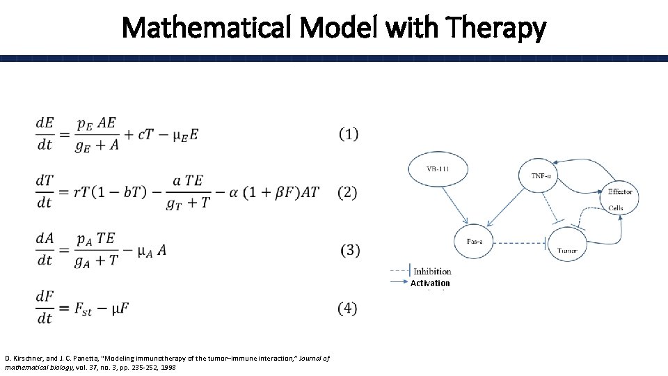 Mathematical Model with Therapy • Activation D. Kirschner, and J. C. Panetta, “Modeling immunotherapy