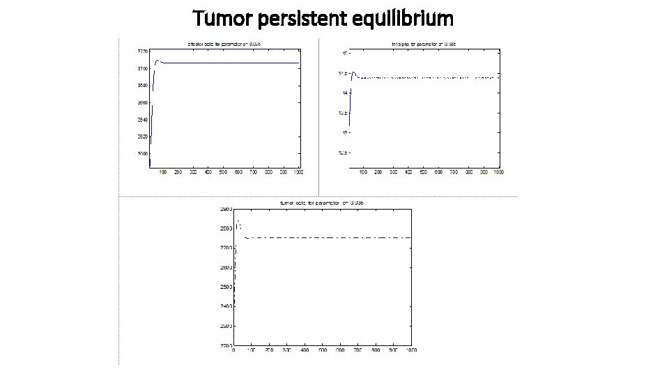 Tumor persistent equilibrium 