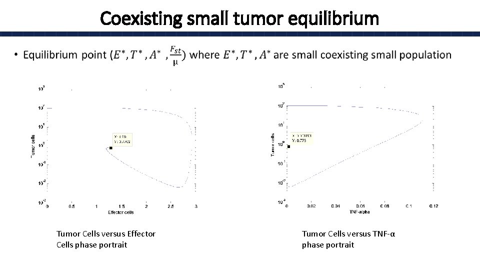 Coexisting small tumor equilibrium • Tumor Cells versus Effector Cells phase portrait Tumor Cells