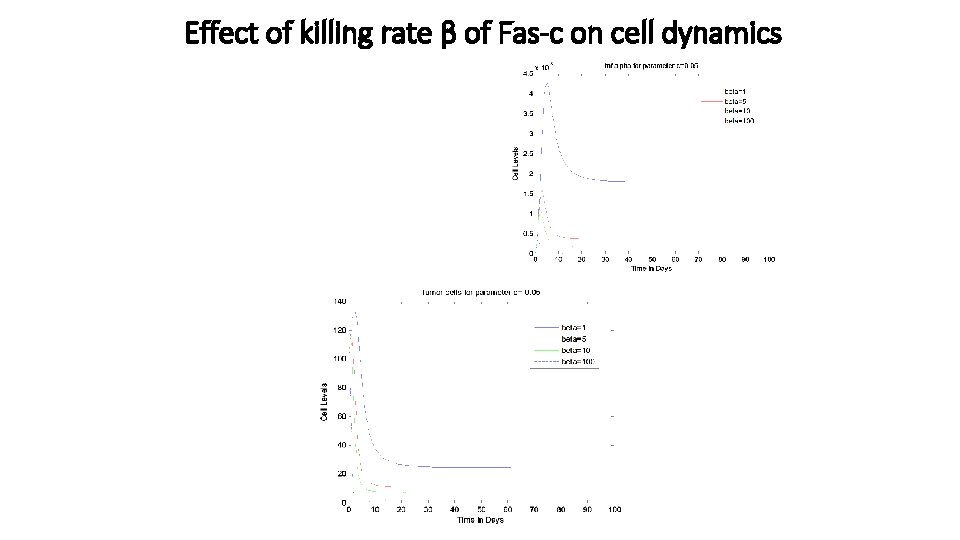 Effect of killing rate β of Fas-c on cell dynamics 