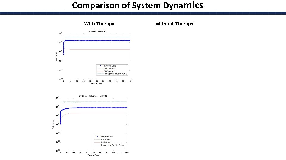 Comparison of System Dynamics With Therapy Without Therapy 
