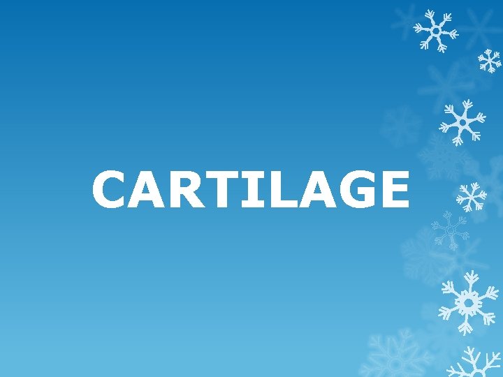 CARTILAGE 