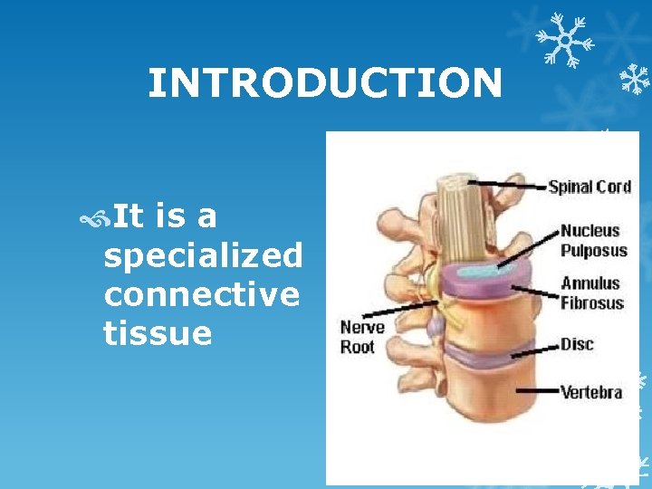 INTRODUCTION It is a specialized connective tissue 