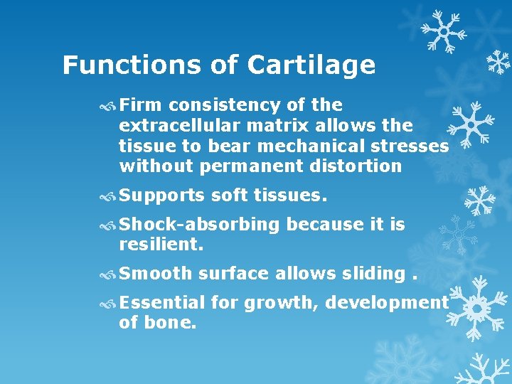 Functions of Cartilage Firm consistency of the extracellular matrix allows the tissue to bear