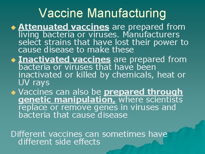 Vaccine Manufacturing Attenuated vaccines are prepared from living bacteria or viruses. Manufacturers select strains