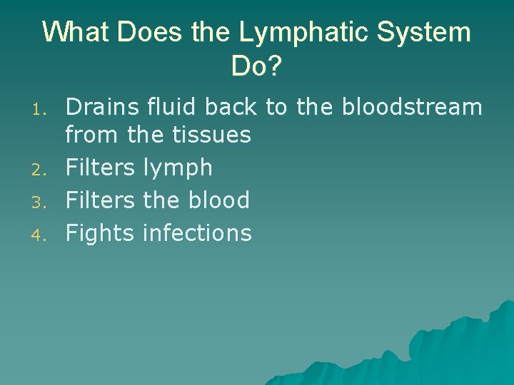 What Does the Lymphatic System Do? 1. 2. 3. 4. Drains fluid back to