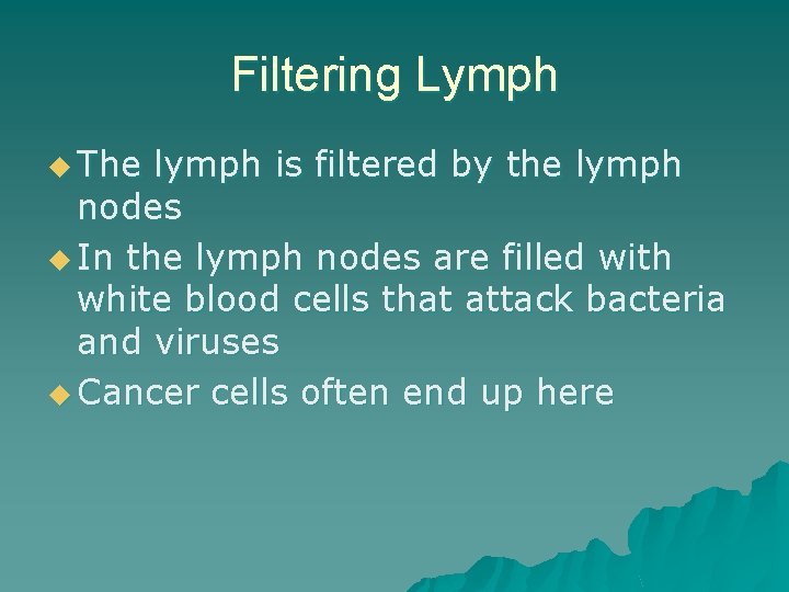 Filtering Lymph u The lymph is filtered by the lymph nodes u In the