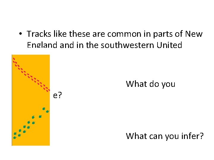  • Tracks like these are common in parts of New England in the