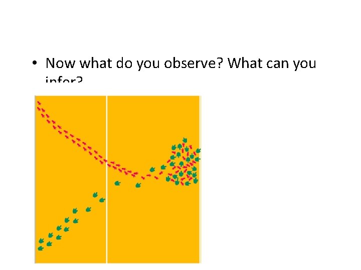  • Now what do you observe? What can you infer? 