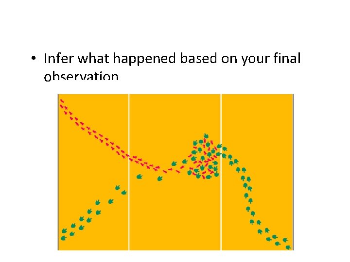  • Infer what happened based on your final observation. 