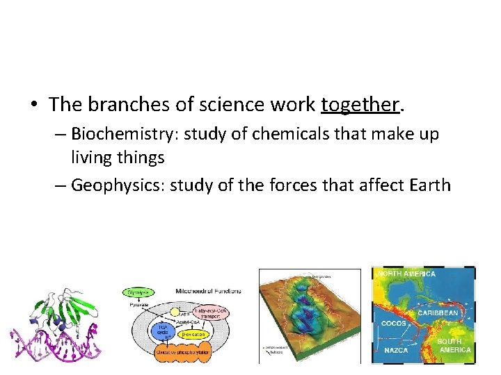  • The branches of science work together. – Biochemistry: study of chemicals that