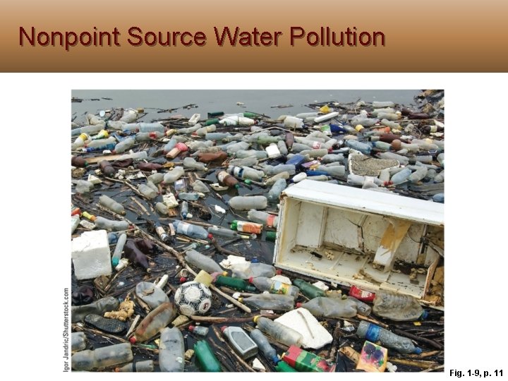 Nonpoint Source Water Pollution Fig. 1 -9, p. 11 Nonpoint Source Water Pollution Fig. 1 -9, p. 11