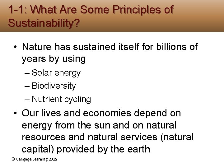 1 -1: What Are Some Principles of Sustainability? • Nature has sustained itself for 1 -1: What Are Some Principles of Sustainability? • Nature has sustained itself for