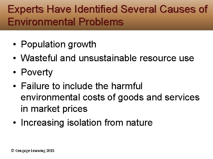 Experts Have Identified Several Causes of Environmental Problems • • Population growth Wasteful and Experts Have Identified Several Causes of Environmental Problems • • Population growth Wasteful and