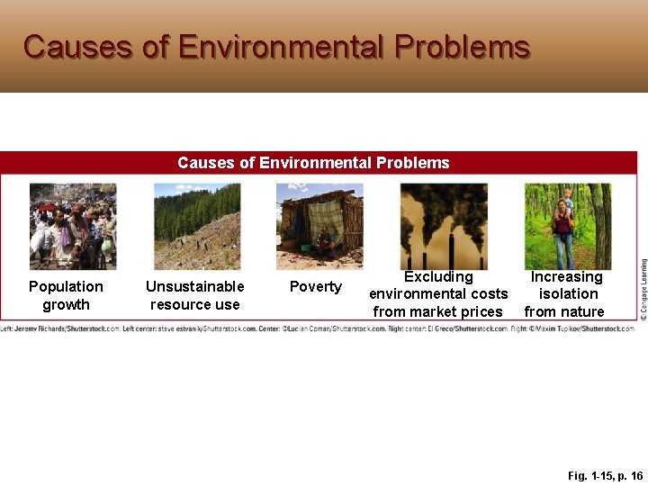 Causes of Environmental Problems Population growth Unsustainable resource use Poverty Excluding environmental costs from Causes of Environmental Problems Population growth Unsustainable resource use Poverty Excluding environmental costs from
