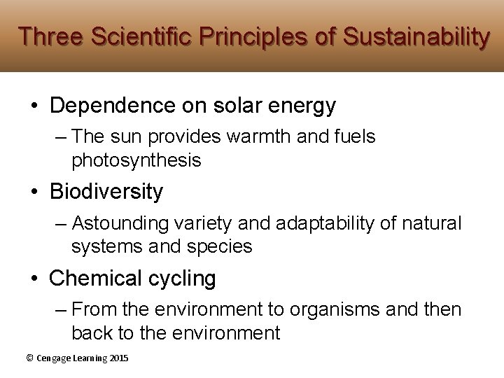 Three Scientific Principles of Sustainability • Dependence on solar energy – The sun provides Three Scientific Principles of Sustainability • Dependence on solar energy – The sun provides