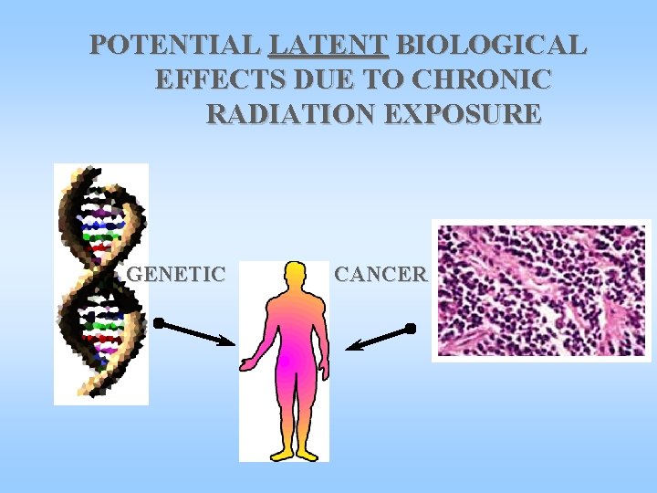 POTENTIAL LATENT BIOLOGICAL EFFECTS DUE TO CHRONIC RADIATION EXPOSURE GENETIC CANCER 