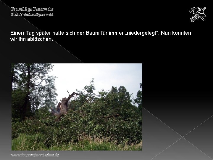 Freiwillige Feuerwehr Stadt Vetschau/Spreewald Einen Tag später hatte sich der Baum für immer „niedergelegt“.