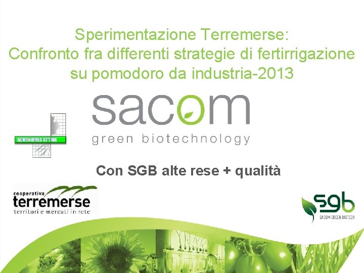 Sperimentazione Terremerse: Confronto fra differenti strategie di fertirrigazione su pomodoro da industria-2013 Con SGB