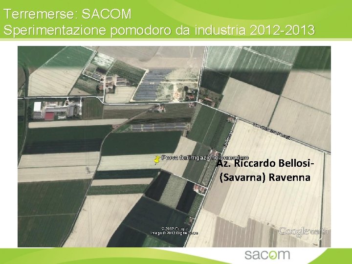 Terremerse: SACOM Sperimentazione pomodoro da industria 2012 -2013 Az. Riccardo Bellosi(Savarna) Ravenna 6 