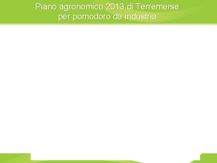 Piano agronomico 2013 di Terremerse per pomodoro da industria 7 