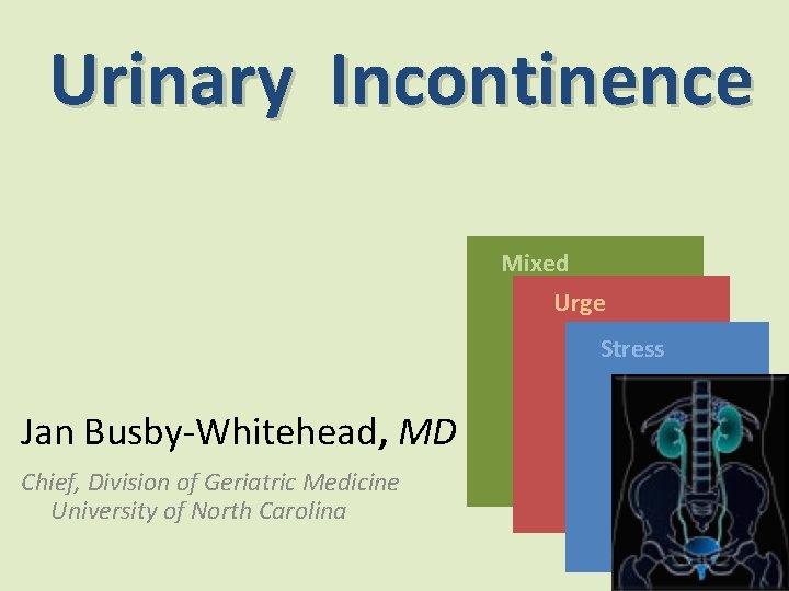 Urinary Incontinence Mixed Urge Stress Jan Busby-Whitehead, MD Chief, Division of Geriatric Medicine University