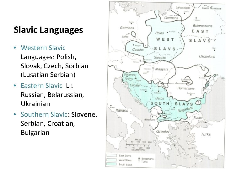 Slavic Languages • Western Slavic Languages: Polish, Slovak, Czech, Sorbian (Lusatian Serbian) • Eastern