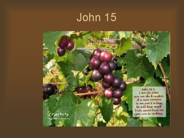 John 15 