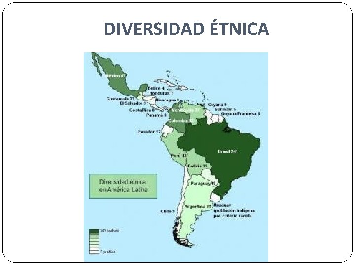 DIVERSIDAD ÉTNICA 