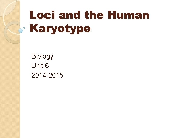 Loci and the Human Karyotype Biology Unit 6 2014 -2015 