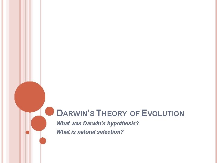 DARWIN’S THEORY OF EVOLUTION What was Darwin’s hypothesis? What is natural selection? 