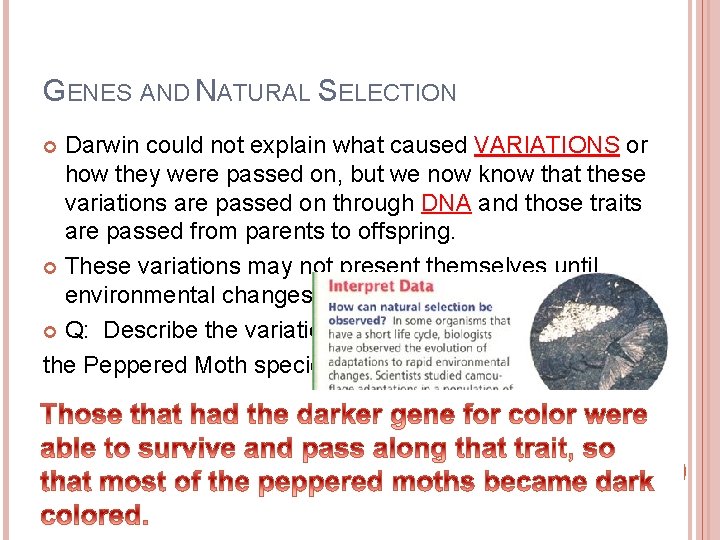 GENES AND NATURAL SELECTION Darwin could not explain what caused VARIATIONS or how they