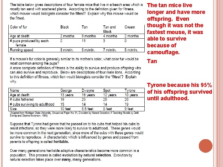 The tan mice live longer and have more offspring. Even though it was not