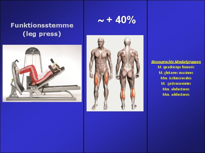 Funktionsstemme (leg press) + 40% Beanspruchte Muskelgruppen M. quadriceps femoris M. glutaeus maximus Mm. Funktionsstemme (leg press) + 40% Beanspruchte Muskelgruppen M. quadriceps femoris M. glutaeus maximus Mm.