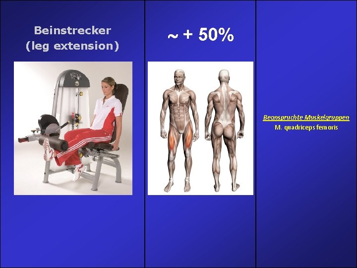 Beinstrecker (leg extension) + 50% Beanspruchte Muskelgruppen M. quadriceps femoris Beinstrecker (leg extension) + 50% Beanspruchte Muskelgruppen M. quadriceps femoris